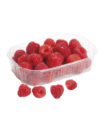 Maliny Maliny