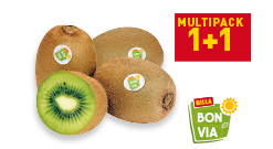 Bonvia Kiwi Bonvia Kiwi